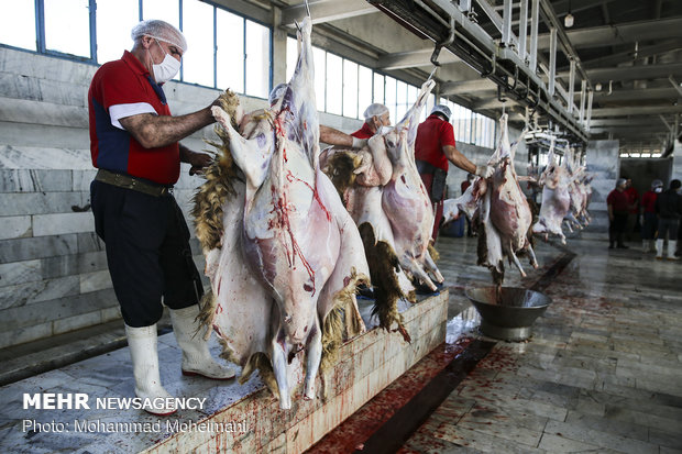 قیمت گوشت در اردستان رکورد زد/نقش دلالان در گرانی دام