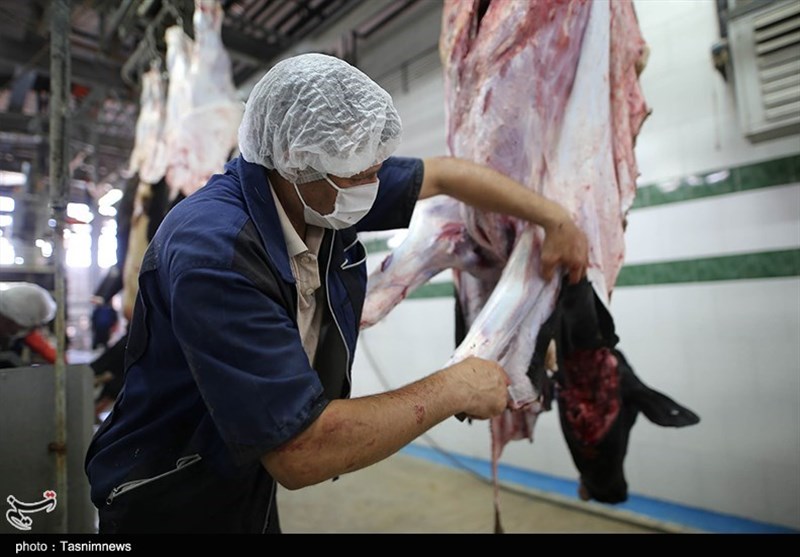 کشتارگاه اردستان از نبود زیرساخت‌ها رنج می‌برد/واردات گوشت از دیگر شهرها عامل بی‌مهری به کشتارگاه