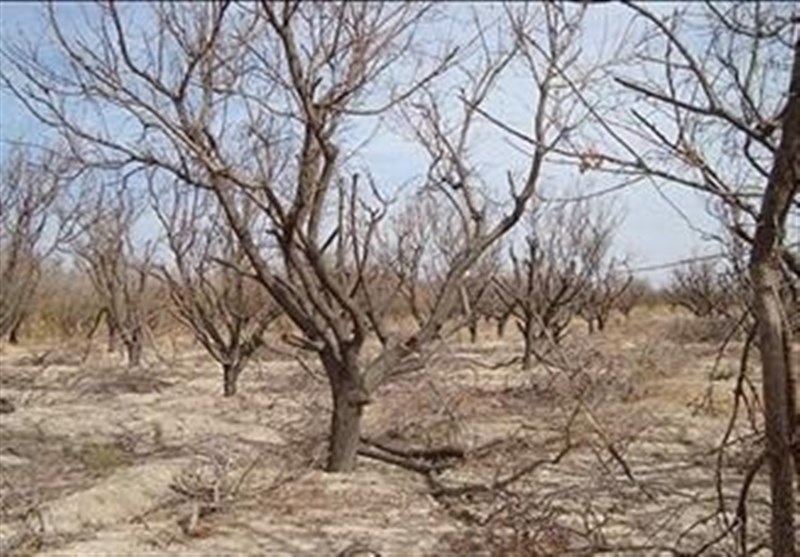 ۱۶۹ روستای استان اصفهان همچنان با تانکر آبرسانی می‌شود/۷۴ درصد استان درگیر خشکسالی است