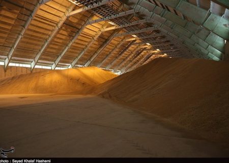 حمل گندم در اردستان بدون مجوز قاچاق و محموله توقیف می‌شود