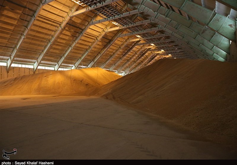 حمل گندم در اردستان بدون مجوز قاچاق و محموله توقیف می‌شود