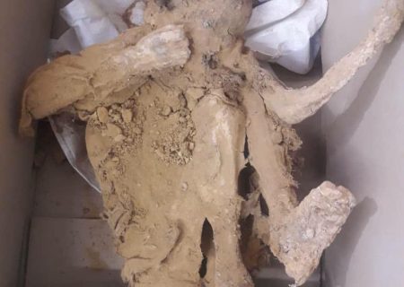 اجساد دو معدن‌کار دوره صفویه در اردستان کشف شد/تصاویر