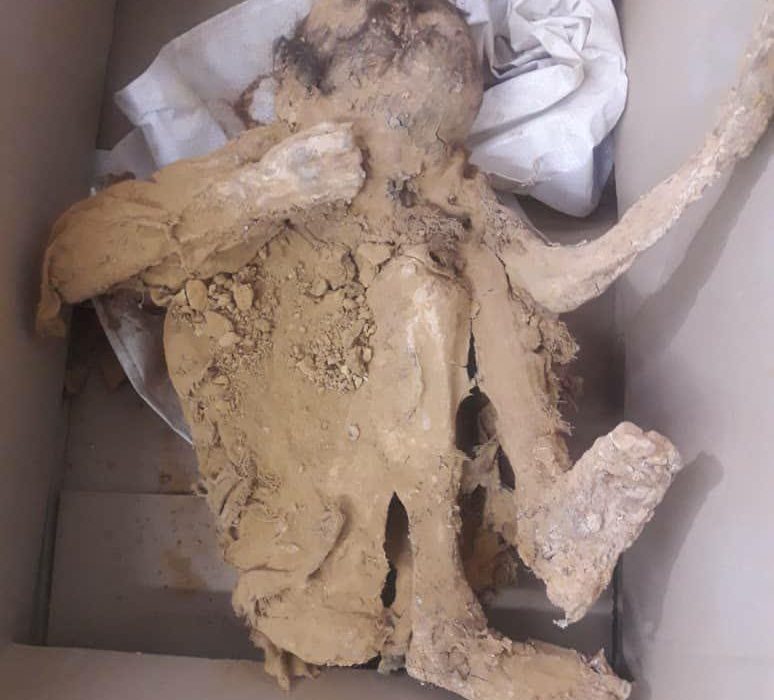 اجساد دو معدن‌کار دوره صفویه در اردستان کشف شد/تصاویر