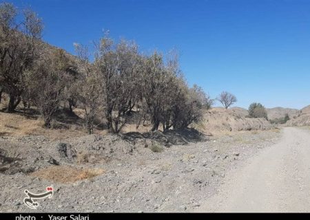 بحران آب در اردستان؛ تداوم خشکسالی منطفه را تهدید می‌کند