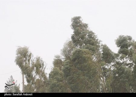 اثرات نامطلوب ریزگردها شهرستان اردستان را تهدید می‌کند/افت منابع آبی عامل تشدید ریزگرد