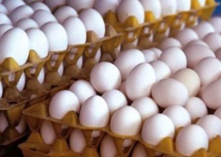 عرضه تخم مرغ زیر قیمت مصوب در اردستان
