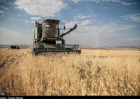 ۷۵۰۰۰ میلیارد تومان برای خرید گندم کشاورزان در بودجه دیده شده است