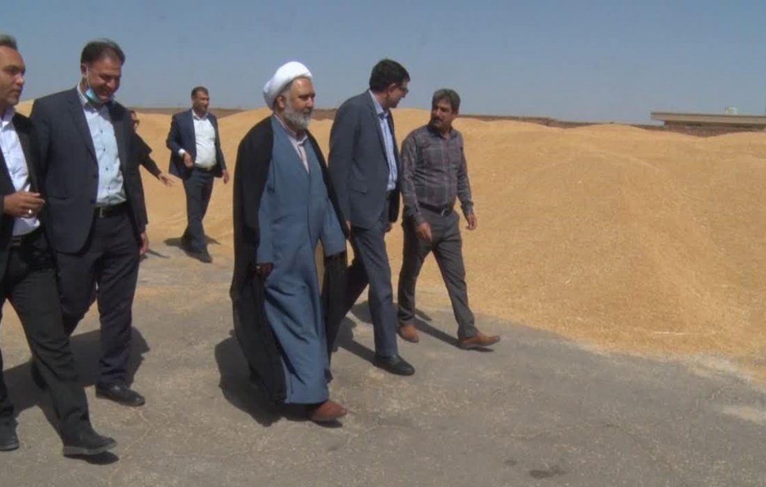 خریداری ۱۱۰ هزار تن گندم تضمینی در استان اصفهان