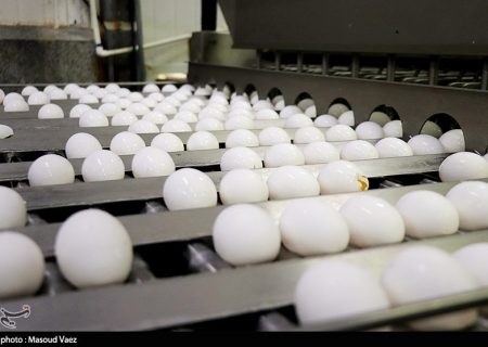 گرانی قیمت تخم‌مرغ در قطب تولید استان اصفهان